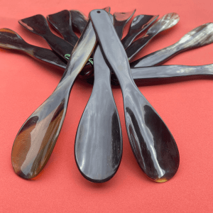Cây xỏ giày sừng trâu